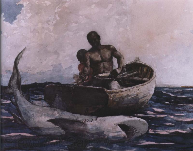 Winslow Homer shark fishing Spain oil painting art